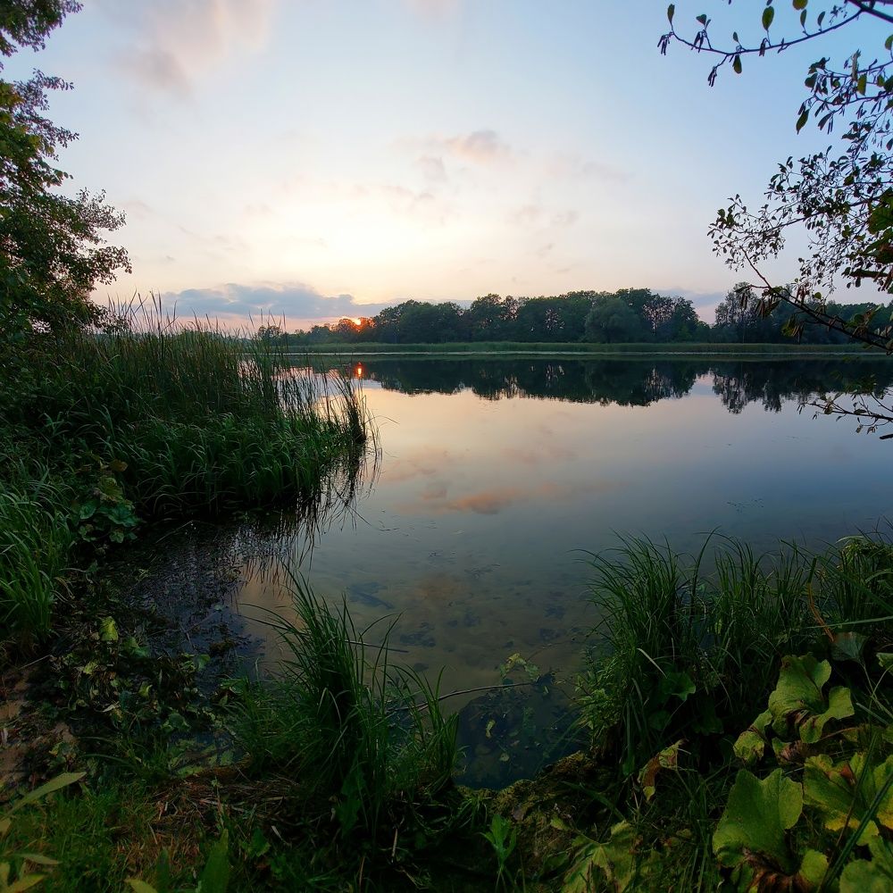 Photograph by Вячеслав Кровопусков