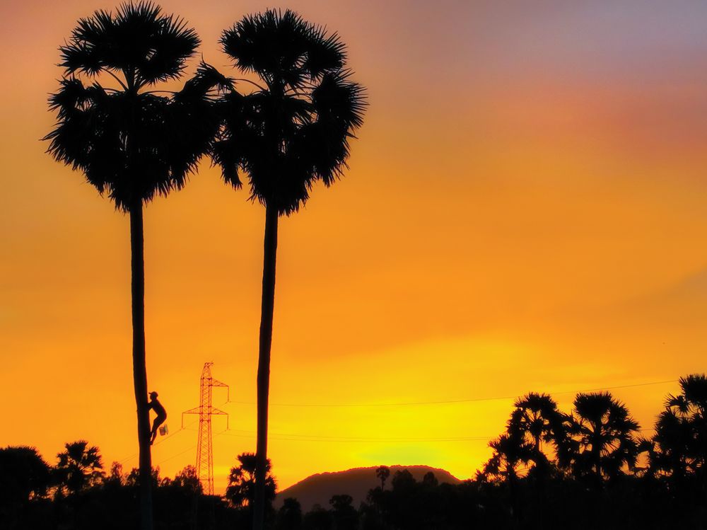 Photograph by Lê Huy Anh