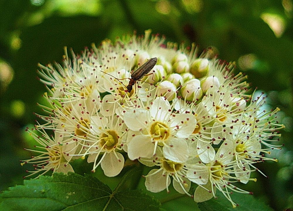 Фотография автора АЛЕКСАНДР ЦЫГЕЛЬНЮК