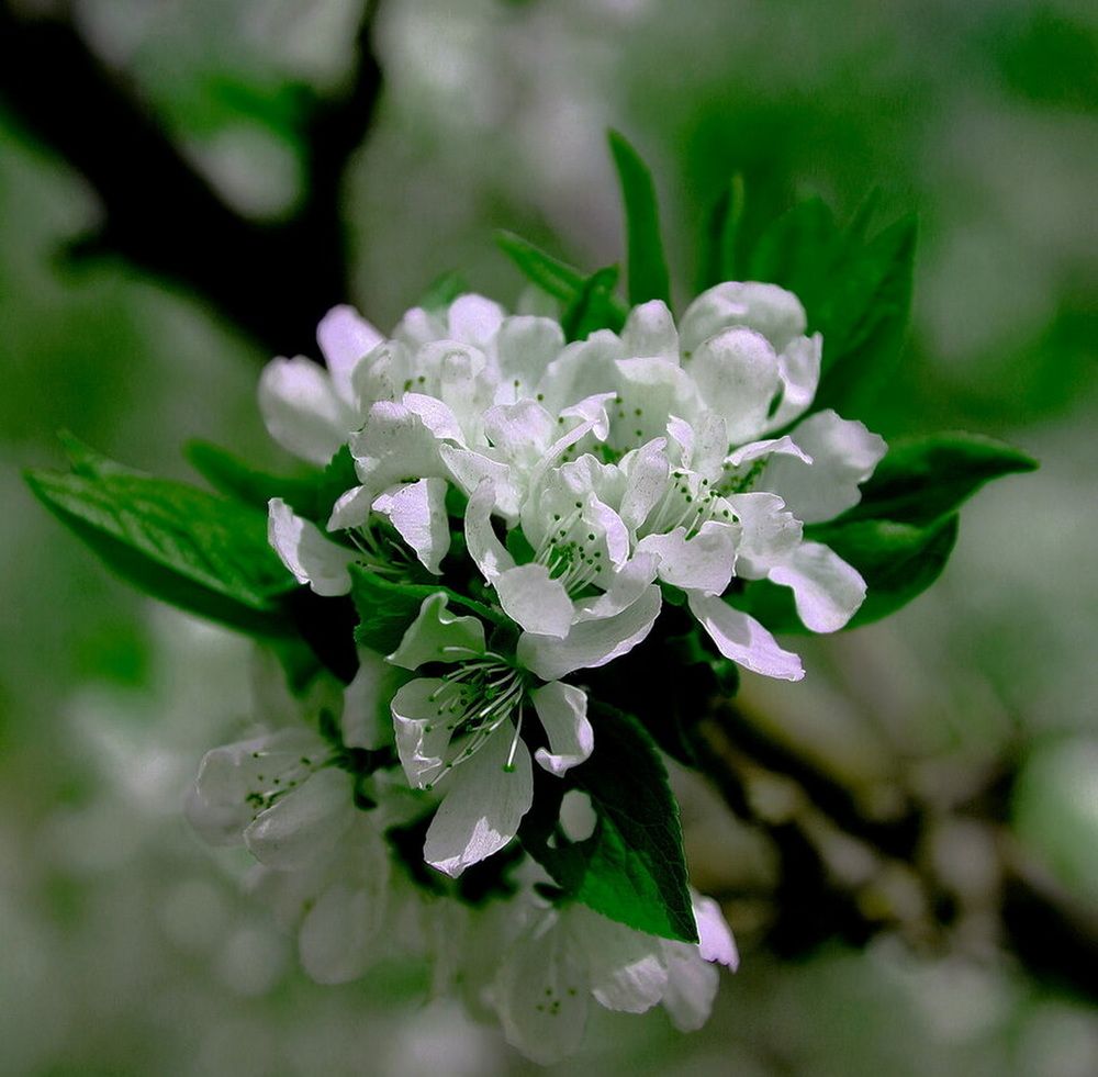 Фотография автора АЛЕКСАНДР ЦЫГЕЛЬНЮК