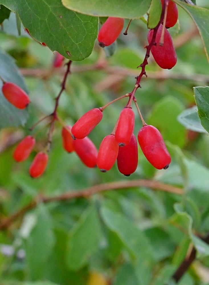 Photograph by Алексей Козлов