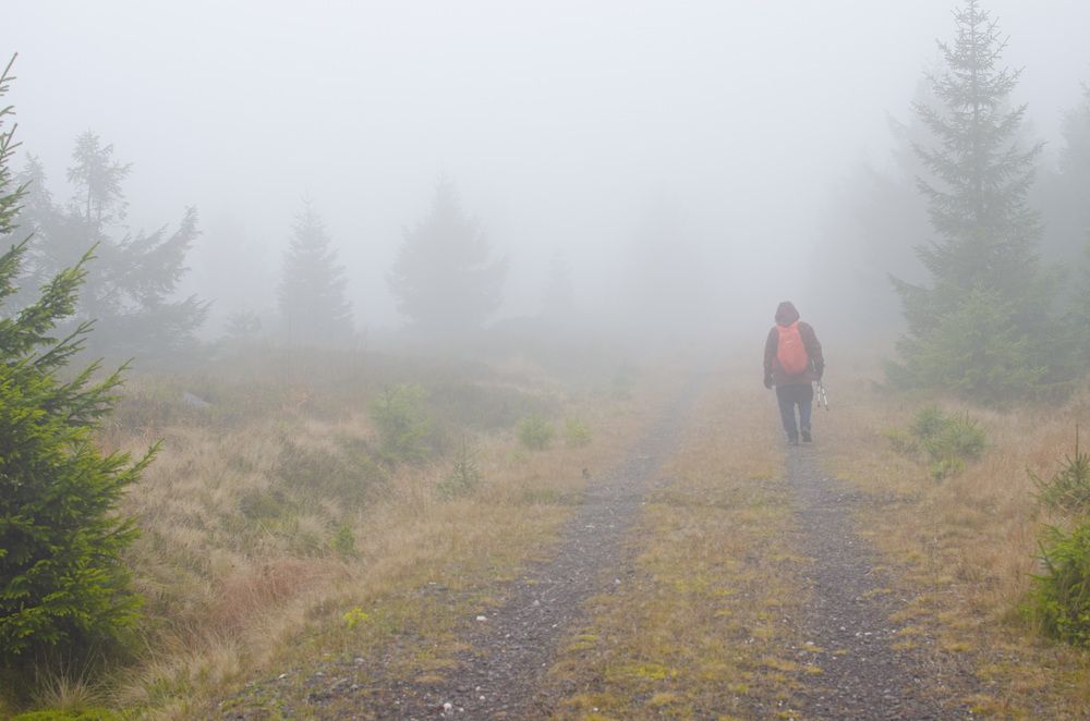 Photograph by Oleg Yashin