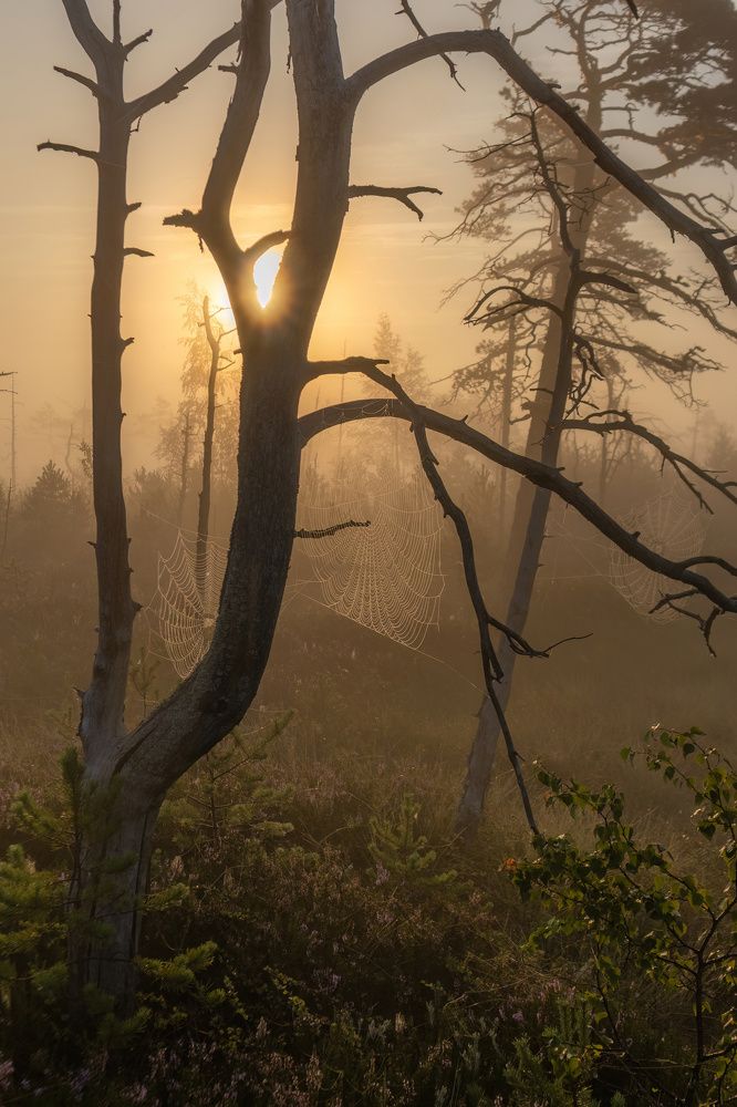 Photograph by Anton Gavrilov