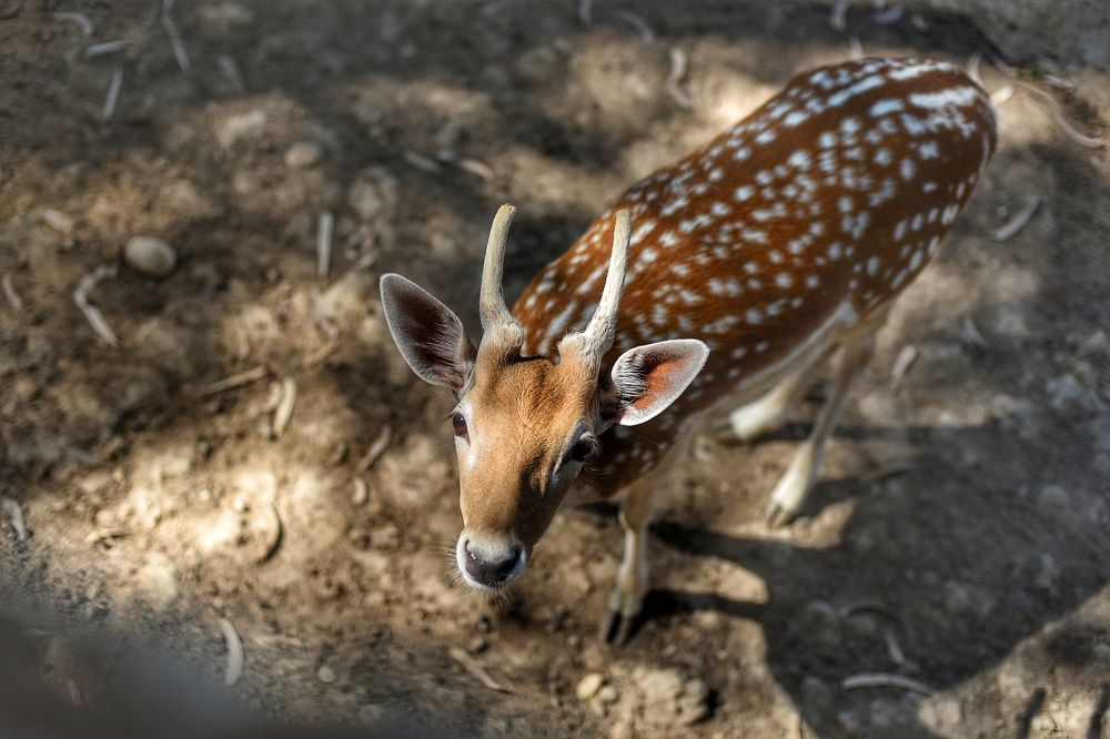 Photograph by Мария Путинцева