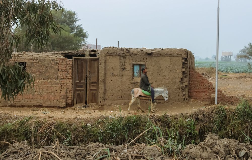 Фотография автора Adel elqamhawi Mohamed