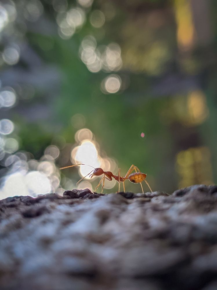 Photograph by Vijayakumar