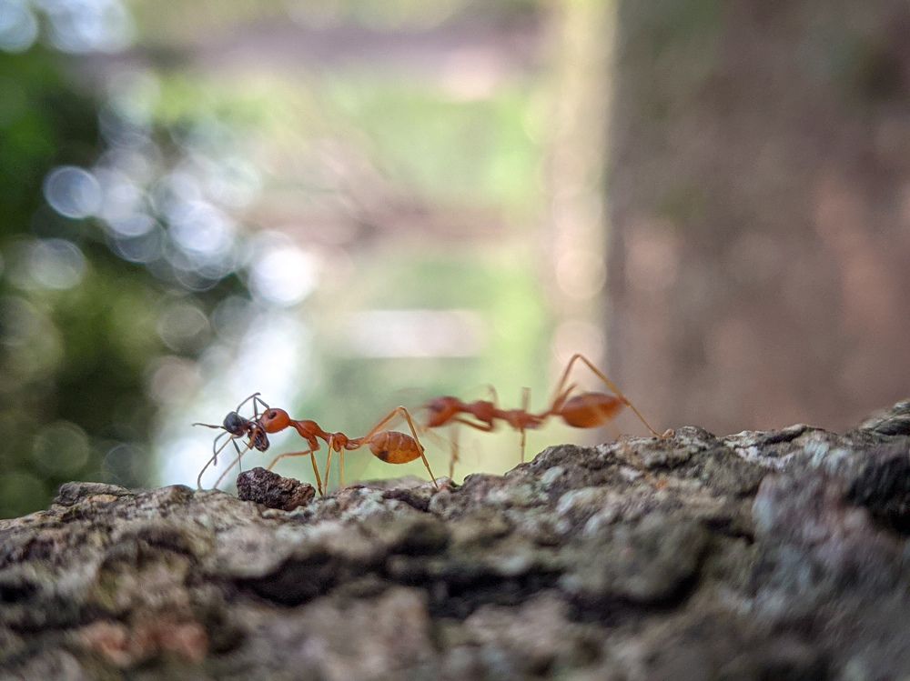 Photograph by Vijayakumar