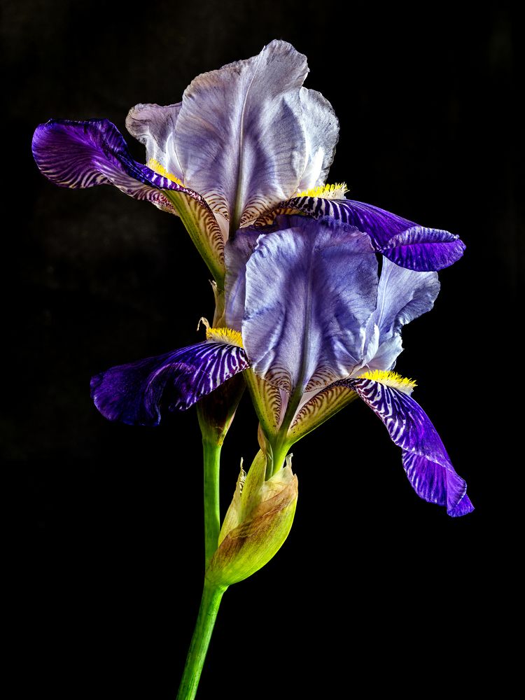 Photograph by Aleksandr Belov