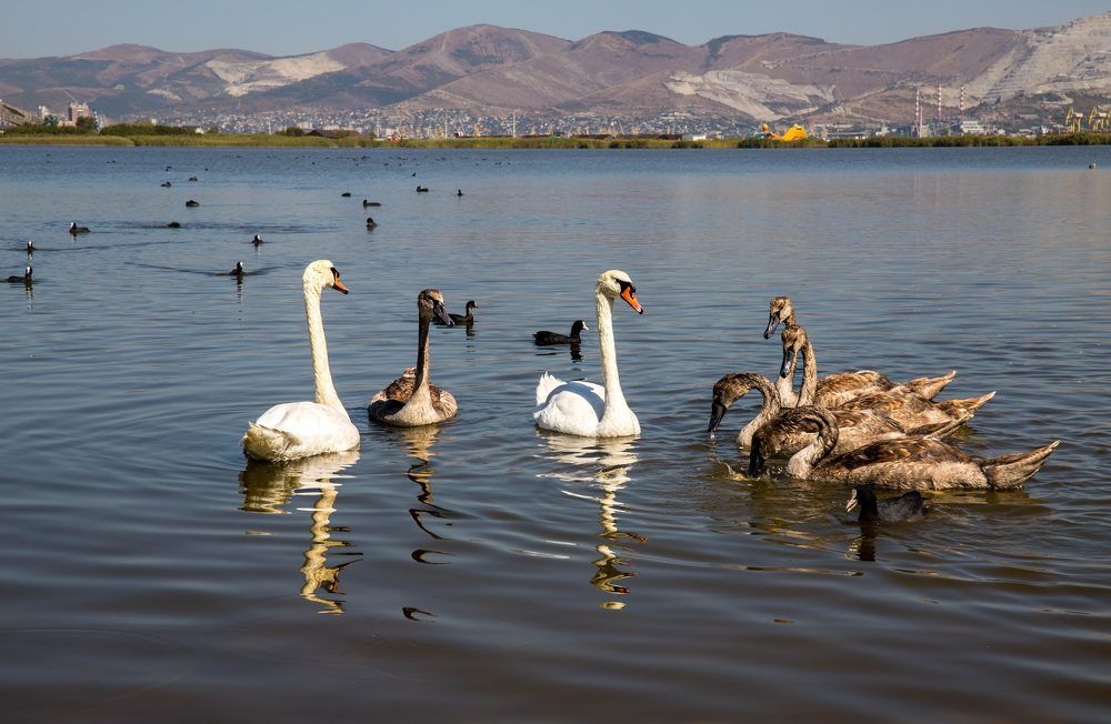 Фотография автора Ирина Гриценко