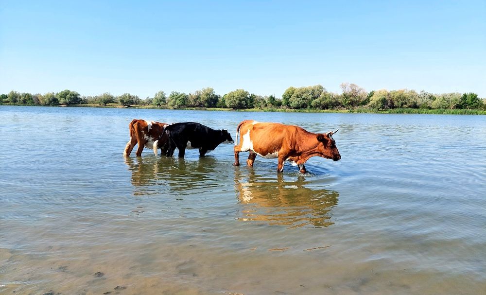 Фотография автора Сергей Можаев