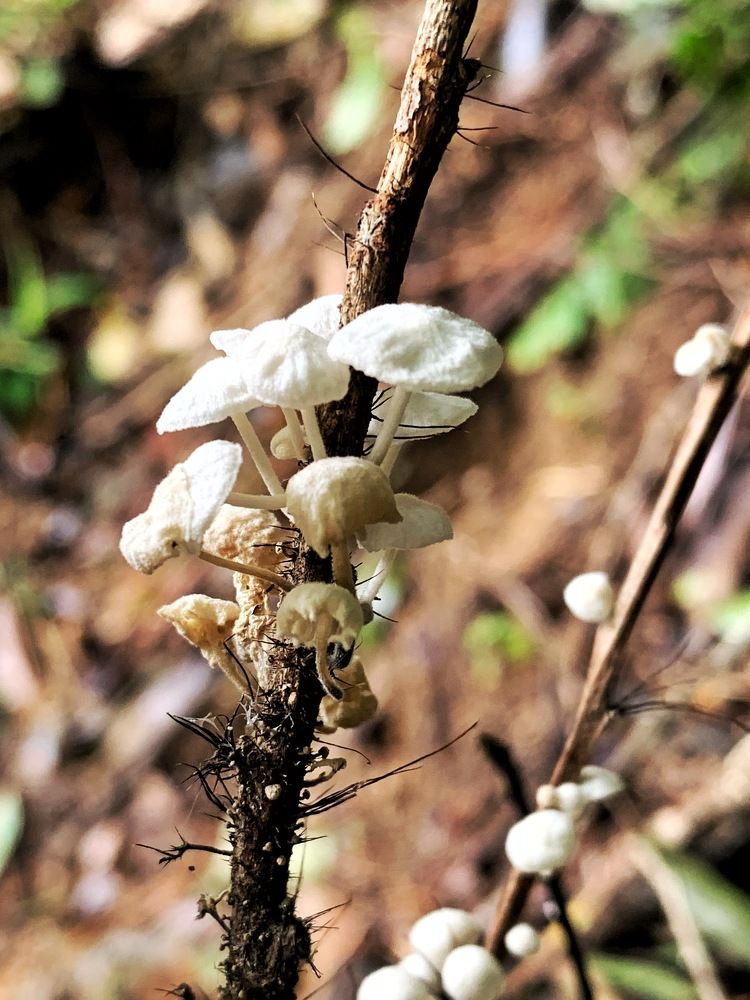 Photograph by Jonna Sabenorio