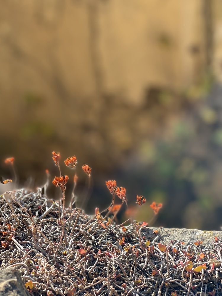 Photograph by Наталья Сережко