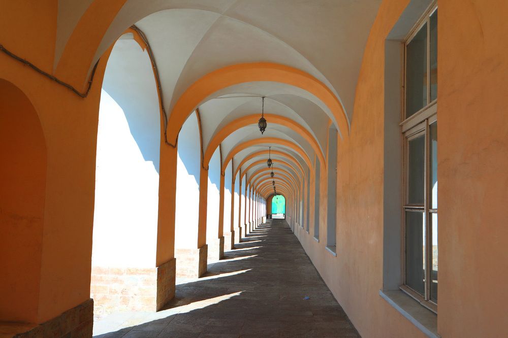 Photograph by Владимир Грибков