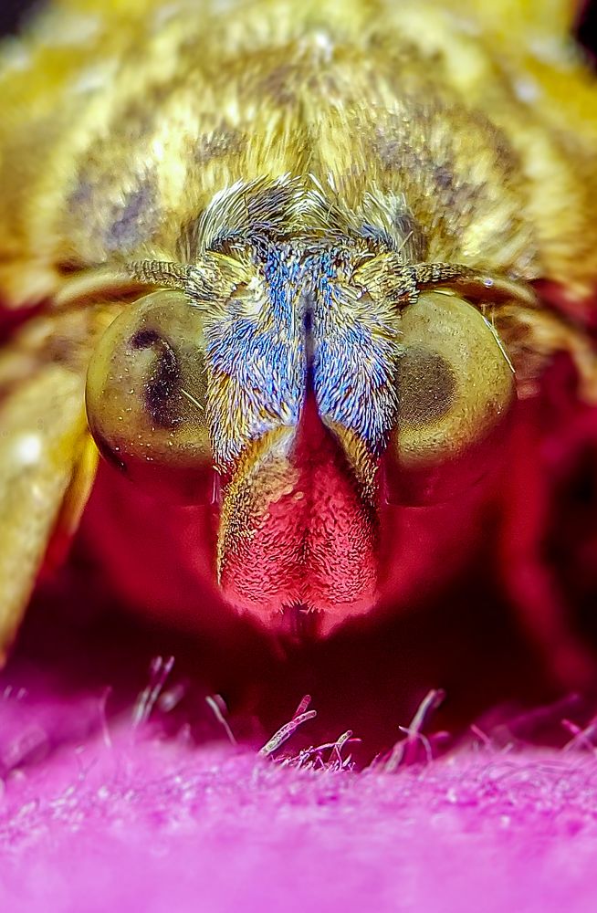 Photograph by Sumitava Chowdhury