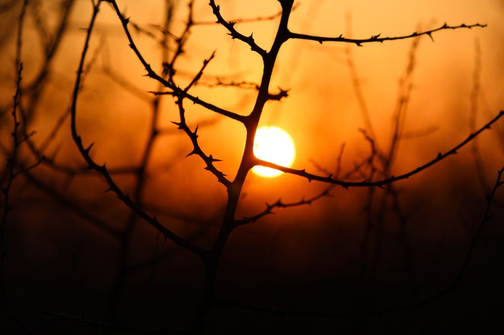 Photograph by Shubham Gupta