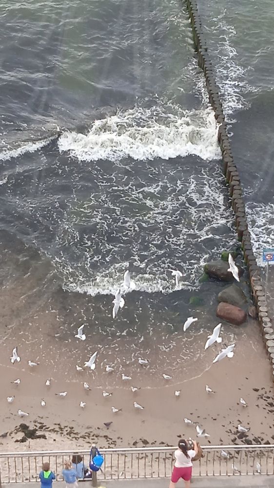 Photograph by Наталия Колемасова