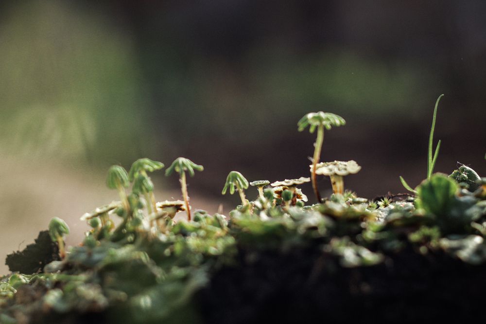 Photograph by Elena Kilina