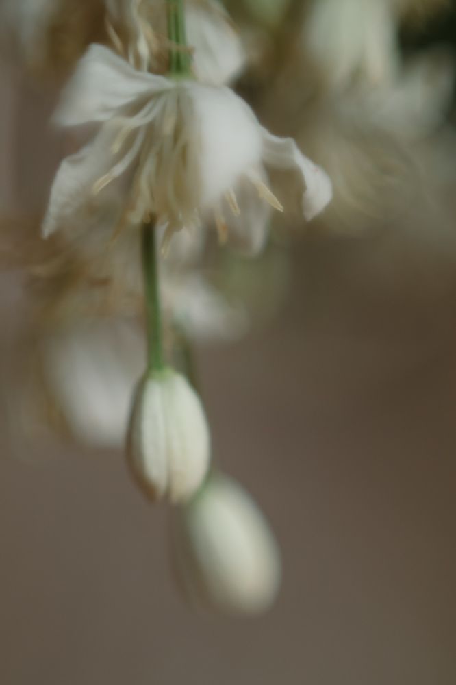 Photograph by Elena Kilina