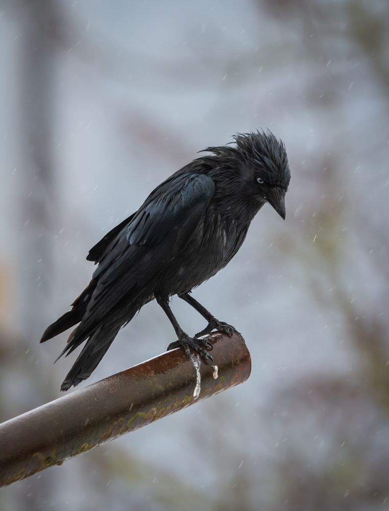 Photograph by Agita Leimane