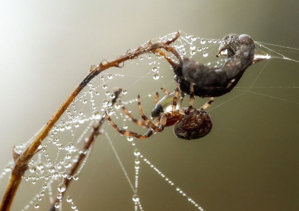 Photograph by Юлия Лушникова