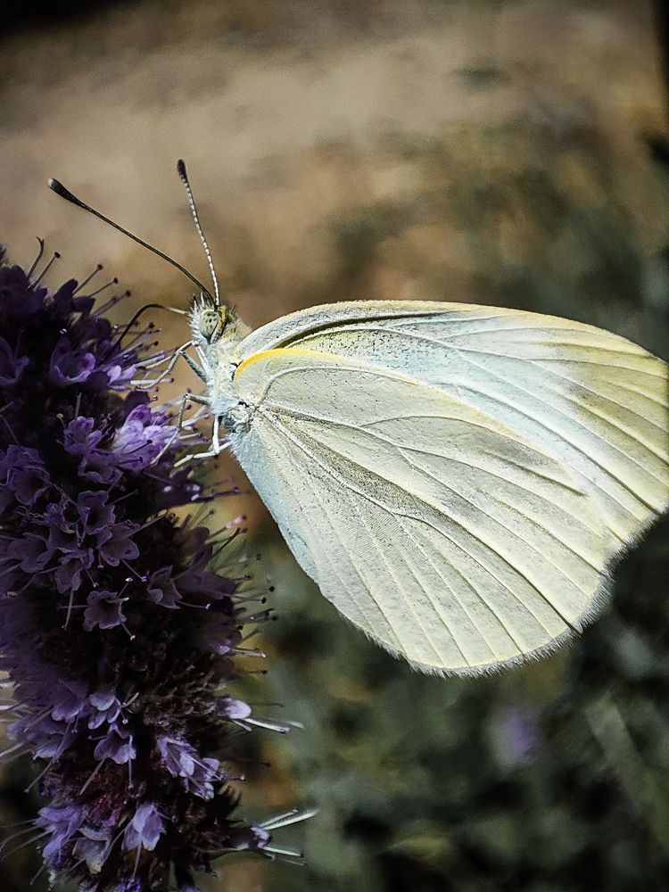 Photograph by mahdi roozbahani