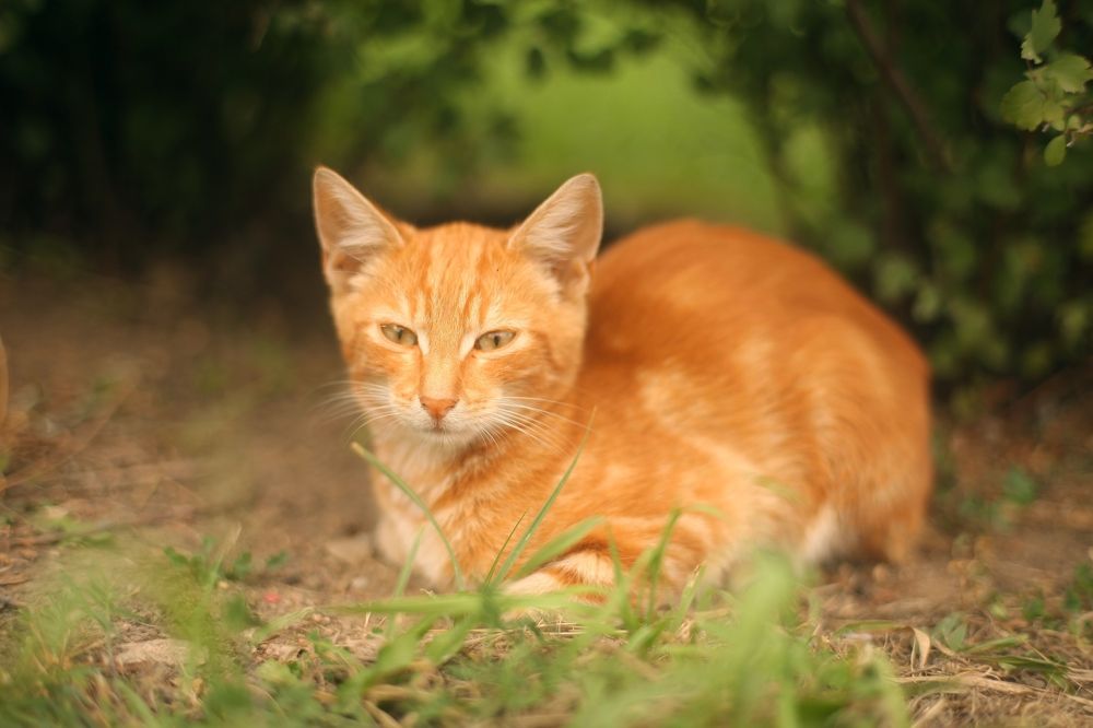 Photograph by Milla Luca