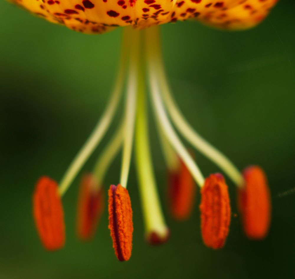 Photograph by Agita Leimane