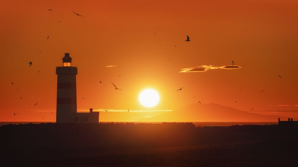 Photograph by Andrea Curzi