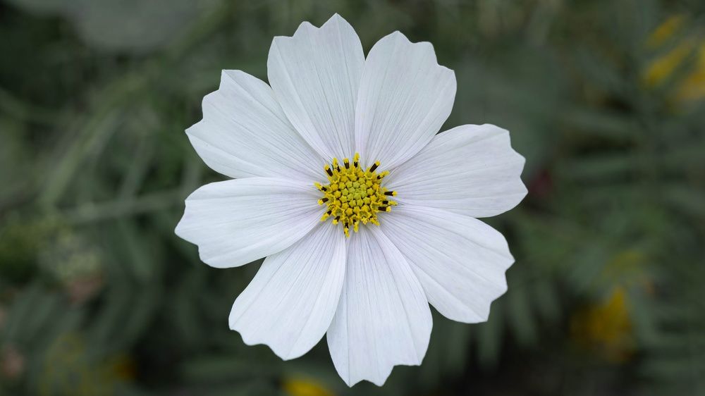 Photograph by Игорь Иванов