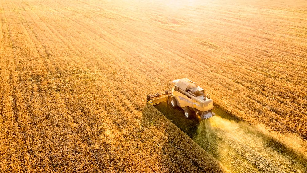 Photograph by Александр Васин