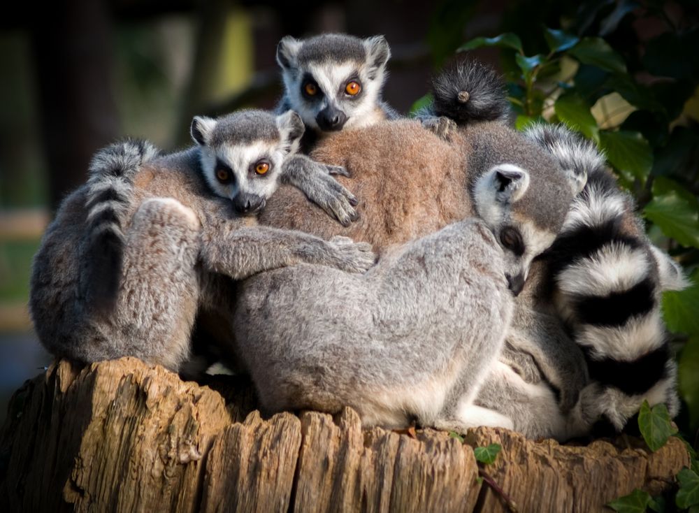 Photograph by Agita Leimane