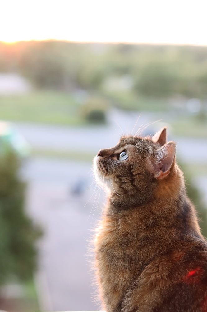 Photograph by Елизавета Голяцкая