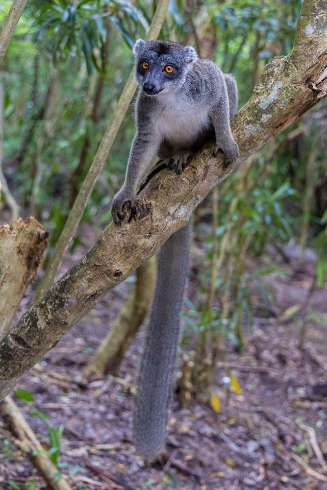 Photograph by Марина Маликова