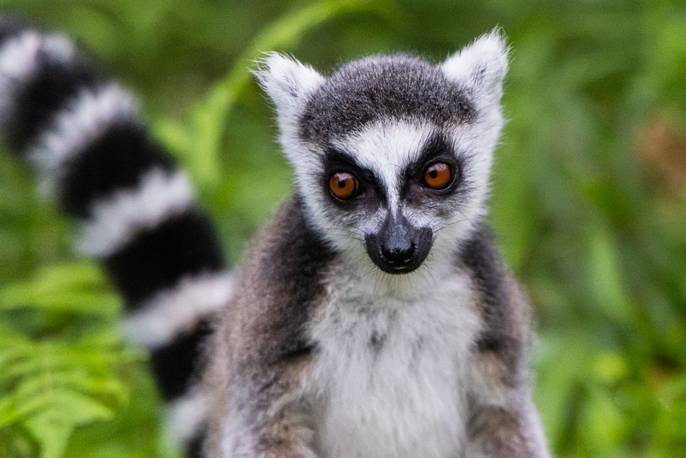 Photograph by Марина Маликова