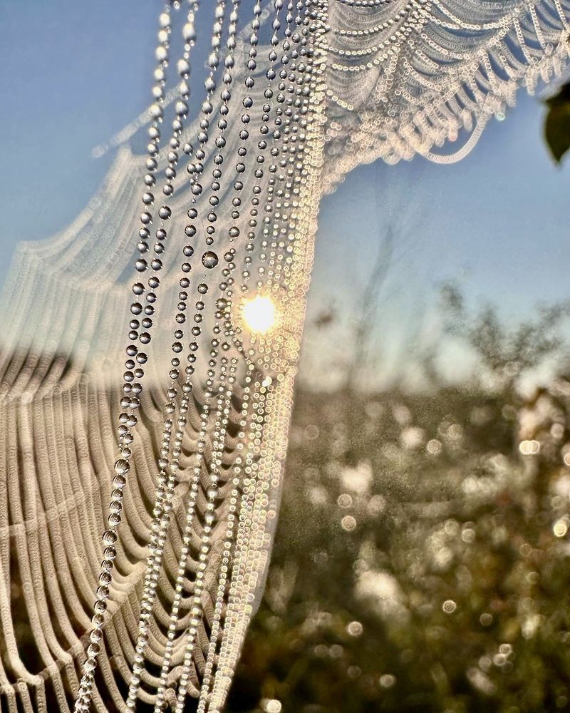 Photograph by Лариса Акинчиц