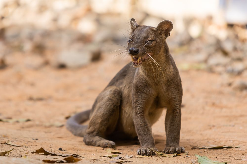 Photograph by Марина Маликова