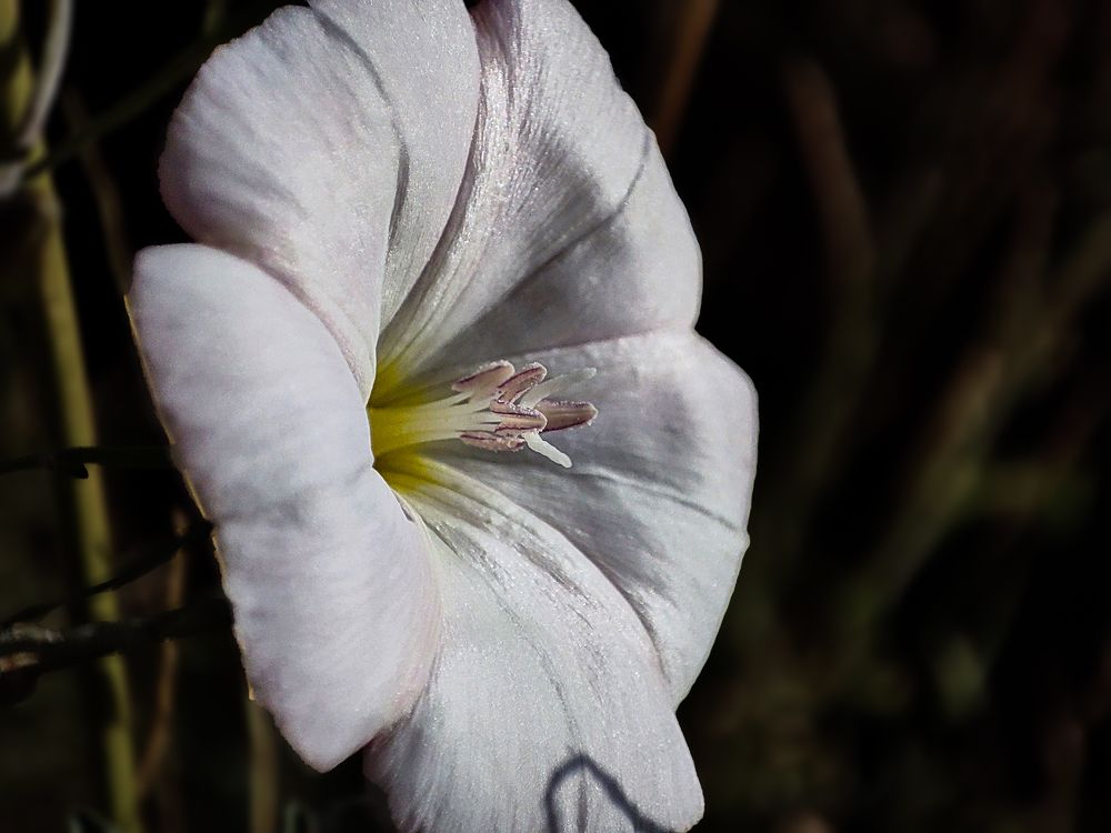 Photograph by mahdi roozbahani