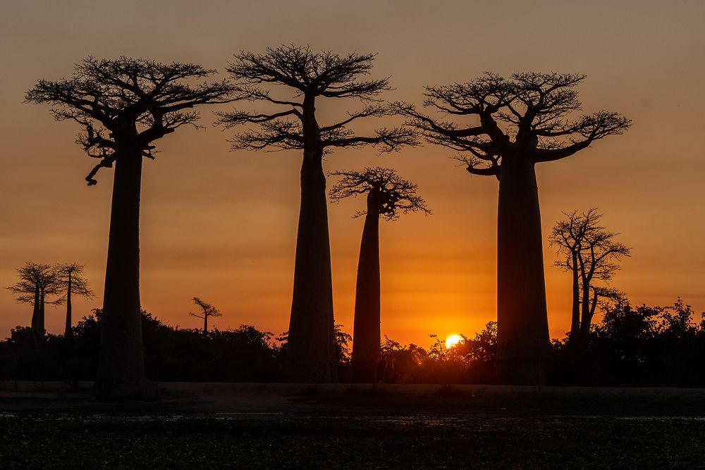 Photograph by Марина Маликова