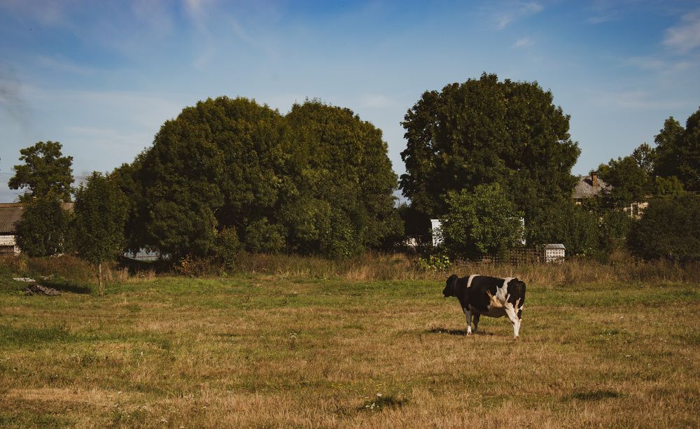 Фотография автора Надежда Волобуева