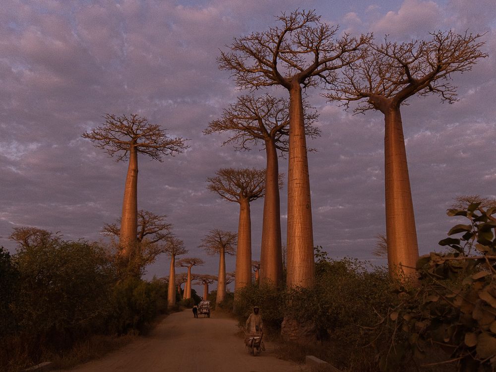 Photograph by Марина Маликова