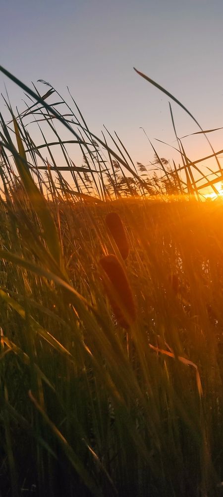 Photograph by Валентин Волк