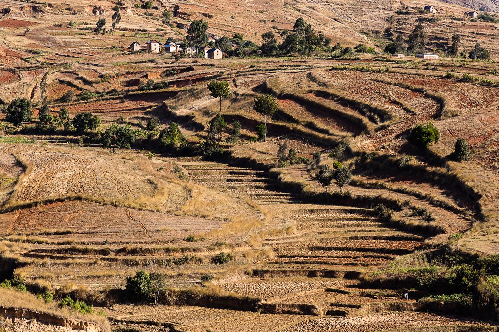 Photograph by Марина Маликова