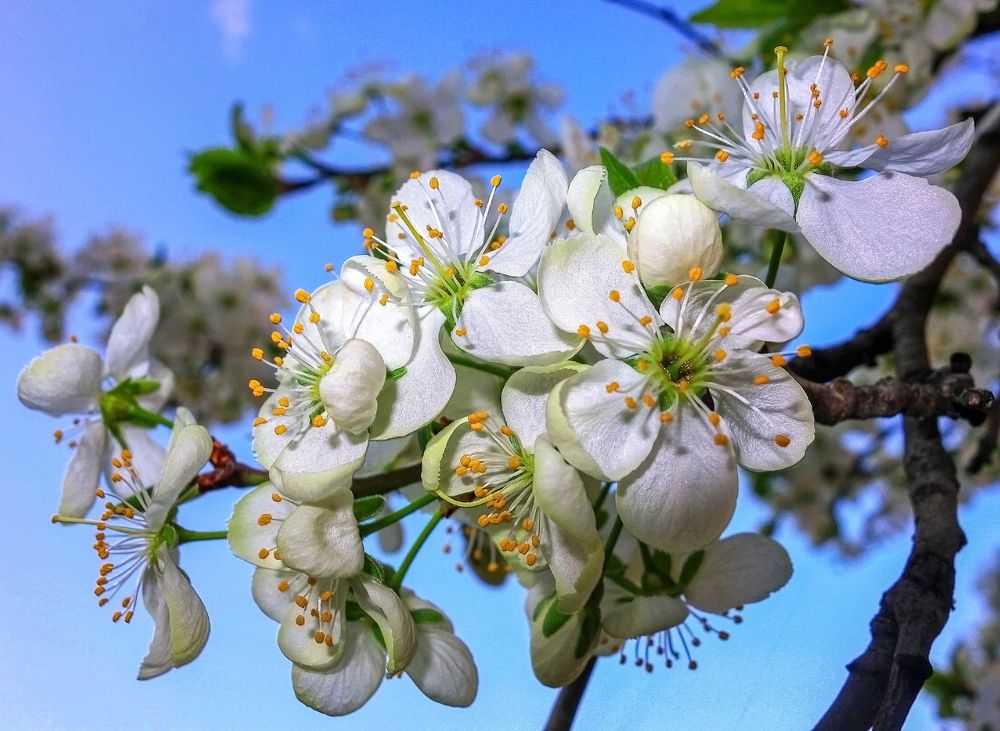 Photograph by IRINA KORNEVA