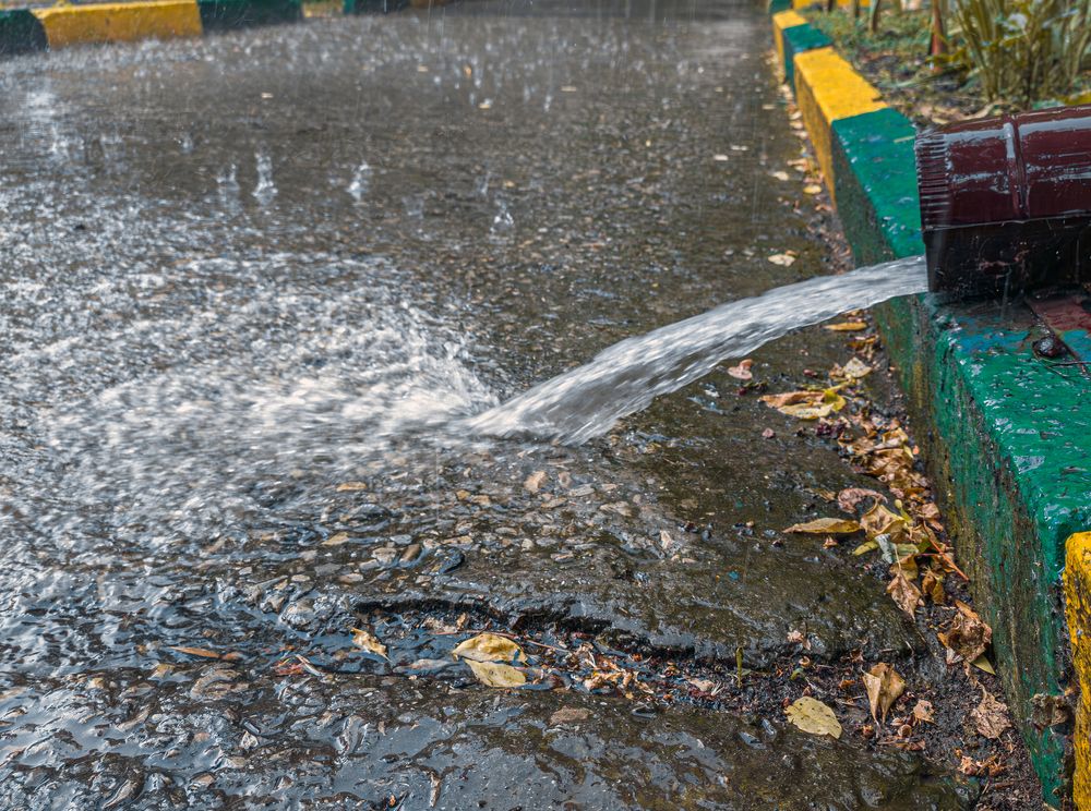 Photograph by Сергей Христинич