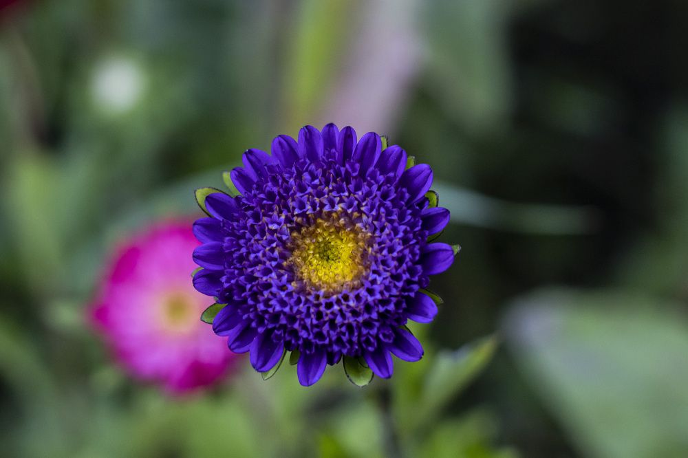 Photograph by Мария Кириллова