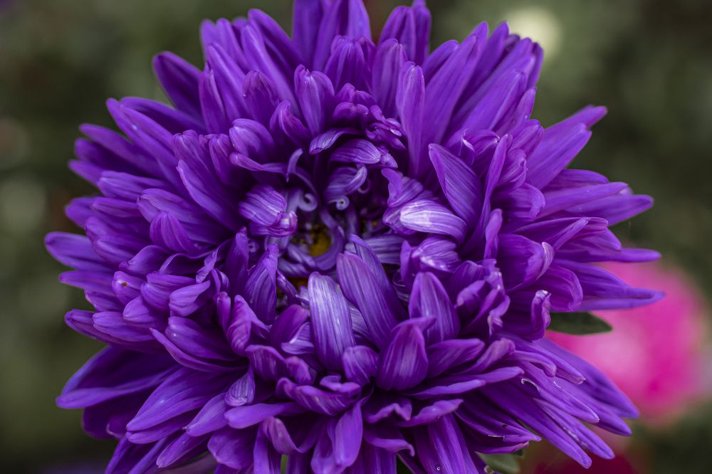 Photograph by Мария Кириллова