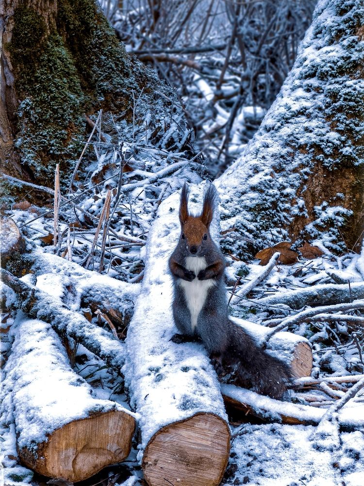 Фотография автора Oleg