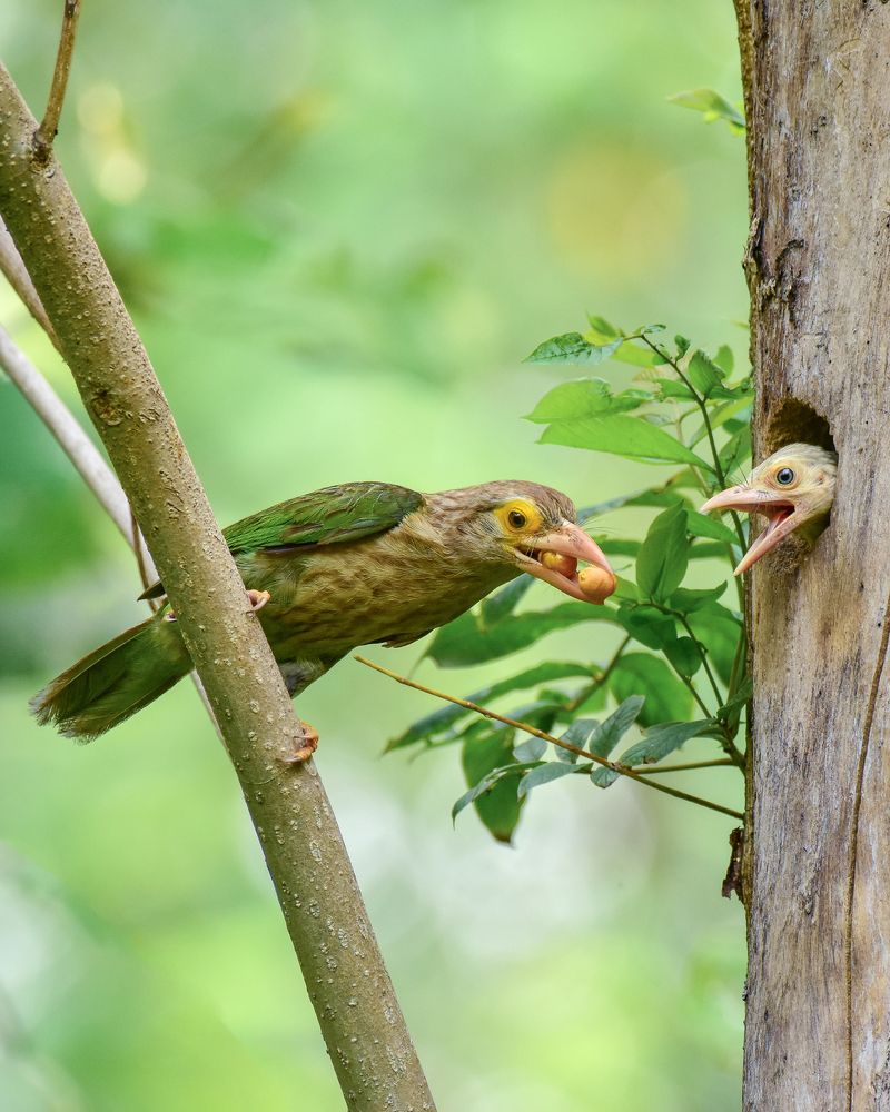 Photograph by Arnab Mondal