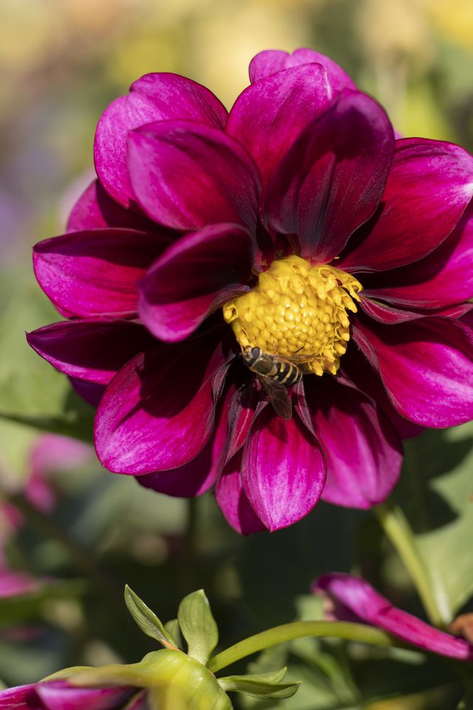 Photograph by Мария Кириллова