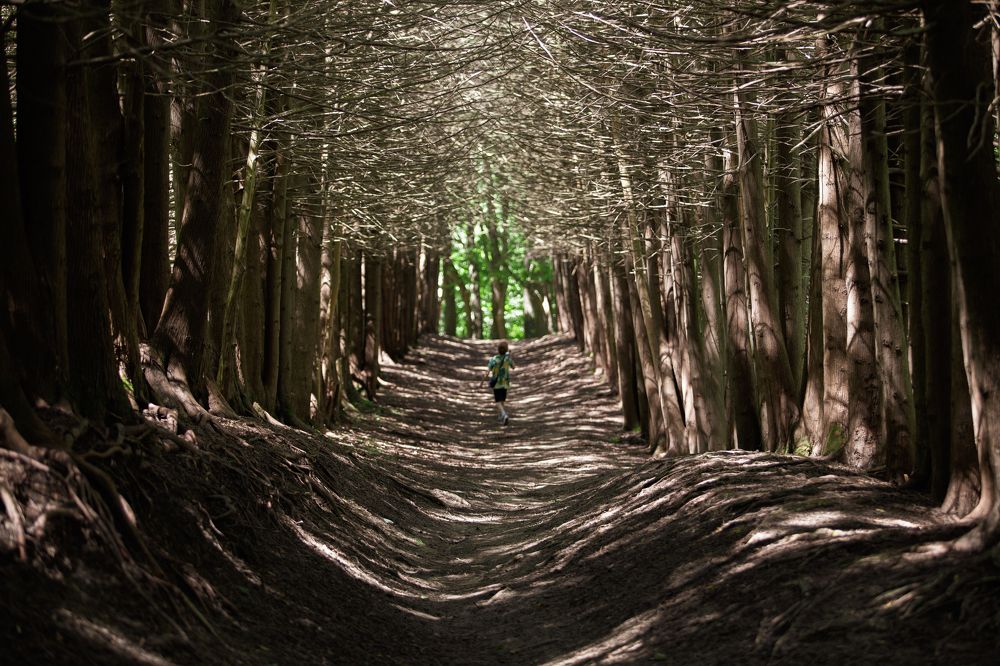 Photograph by Виталий Са